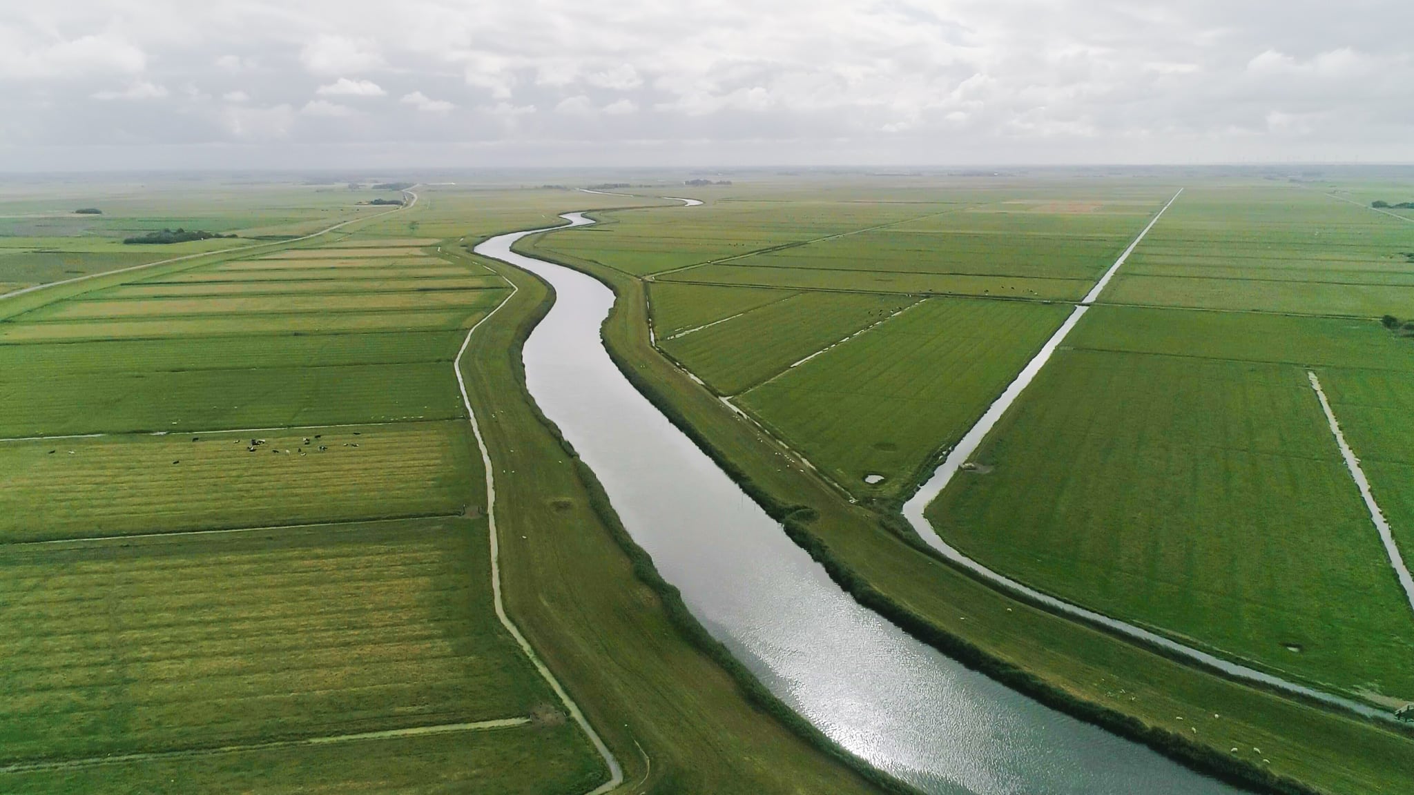 Das Sumpfgebiet auf der Südseite des Deichs – @Bjarke Petersen – Besuchen Sie Rømø und Tønder.
