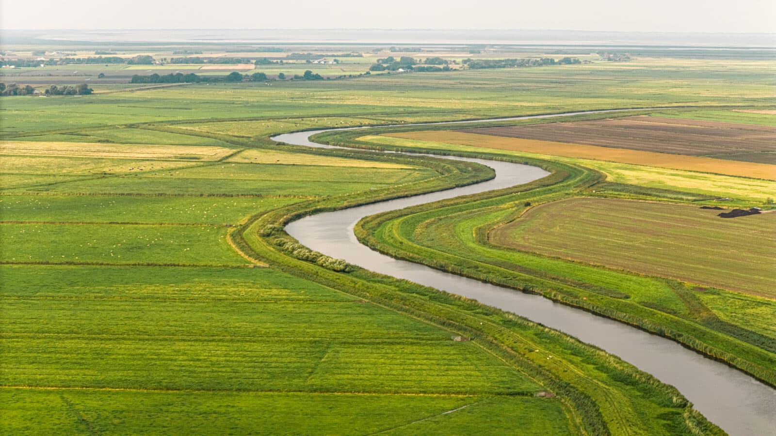 Tøndermarsh