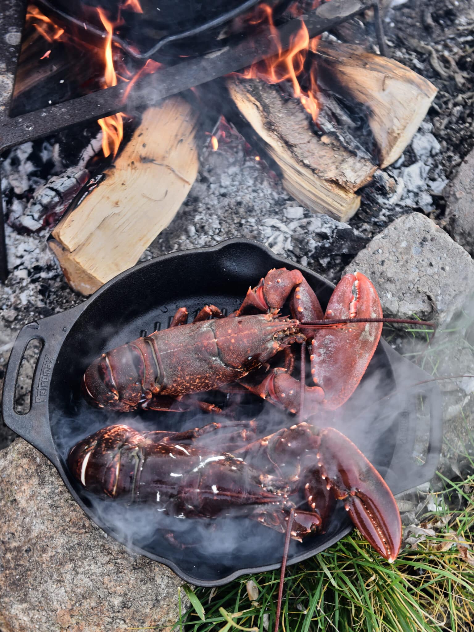 Rømø+Venø Paella