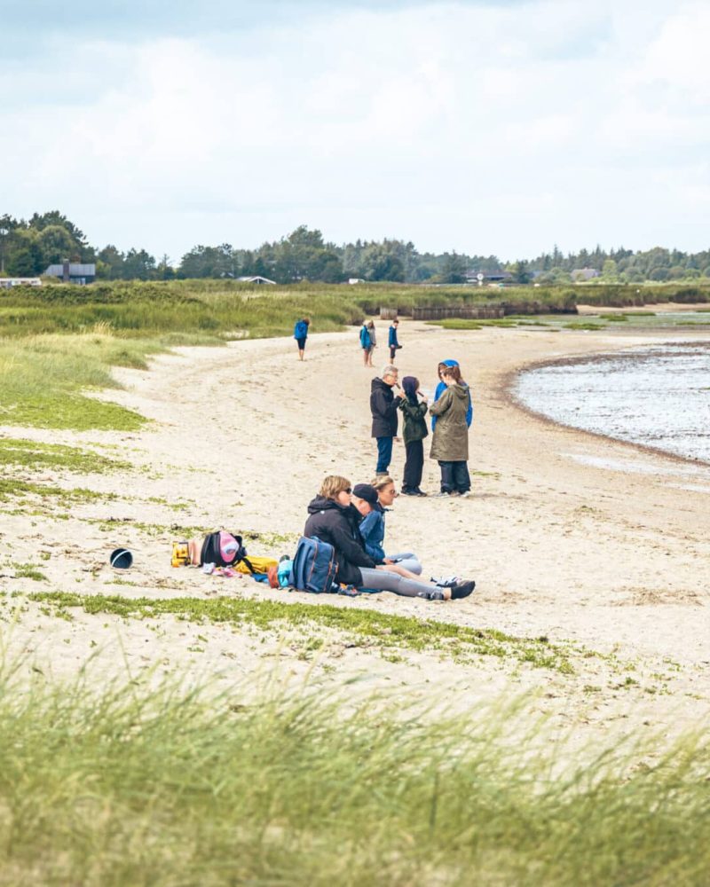 Vadehavet tour-tonnisgaard-@Bjarke-Petersen-50-scaled-1.jpg
